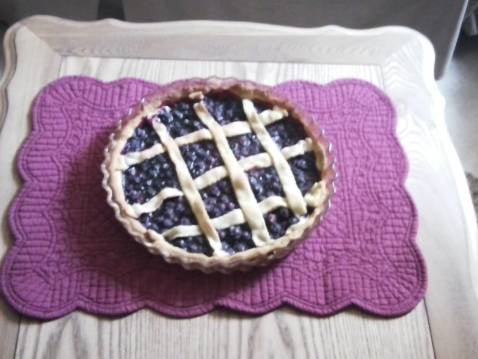 Tarte à la myrtille