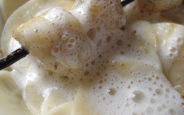 Saint-Jacques à la vanille