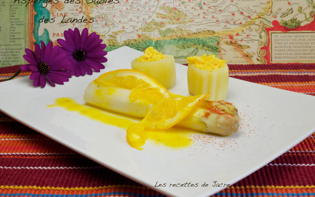 Asperges des sables des Landes