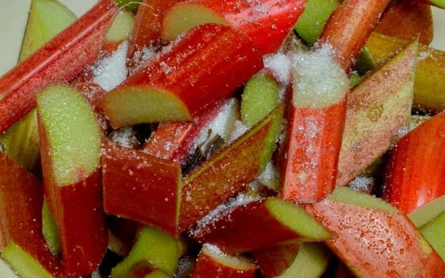 Gelée de rhubarbe et orange