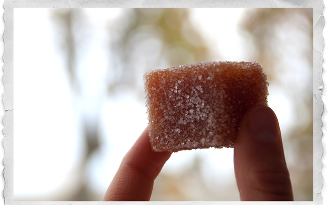 Pâtes de fruits au coing
