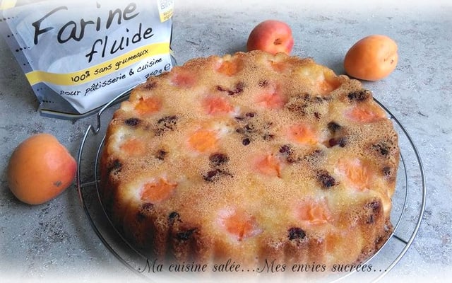 Gâteau aux abricots et cranberries