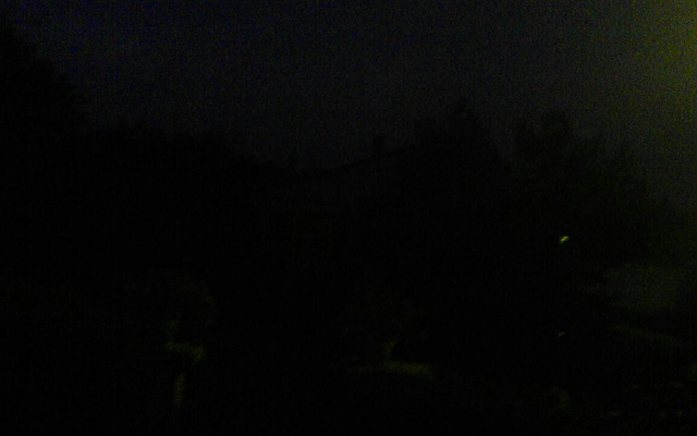 Beignets de courgettes au thon