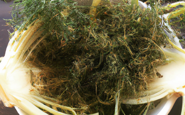 Le fenouil à la provençale