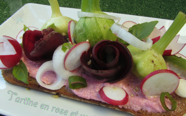 Tartine en rose et vert