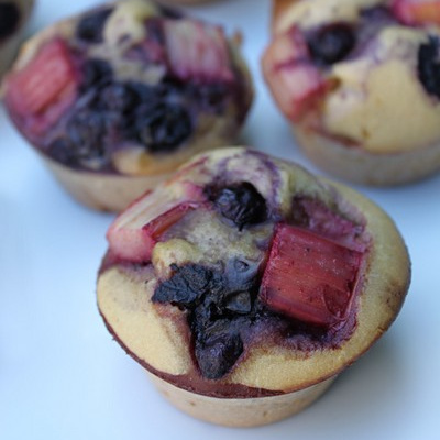 Petits moelleux à la rhubarbe et aux myrtilles