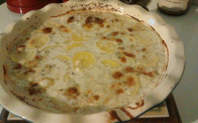 Gratin dauphinois au Roquefort