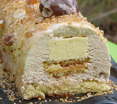 Bûche marrons, bûche marrons, vanille, orange