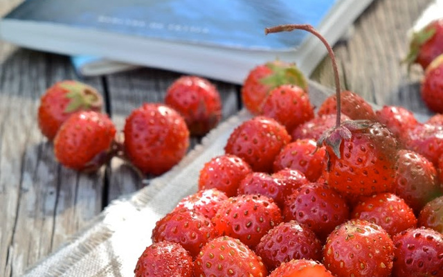 Tartine fraises et beurre de cacahuète