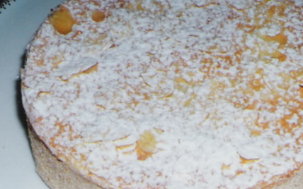 Biscuit noisettes - mousse pralinée