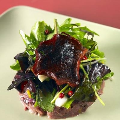 Magret de canard en tartare