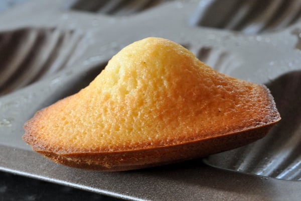 Madeleines à la vanille