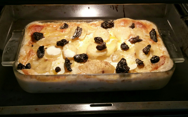 Gratin de pommes de terre aux morilles