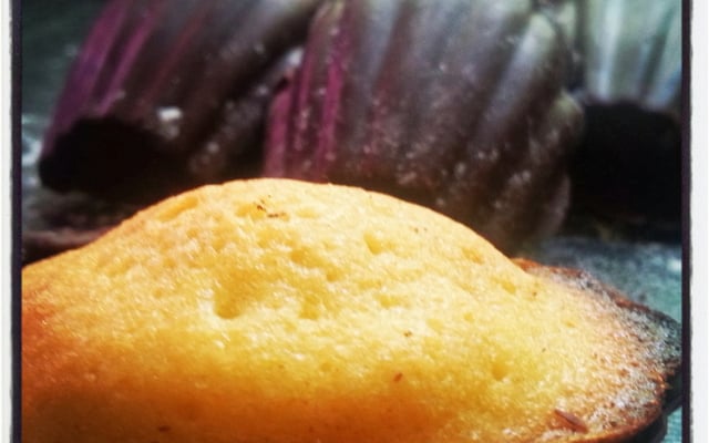 Madeleines au citrons en coque de chocolat noir sans lactose