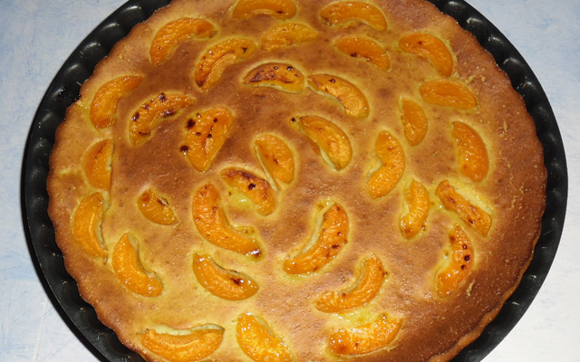 Flan de courgette sucré aux abricots