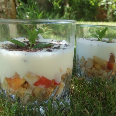 Verrines du Poitou à la pêche de vigne