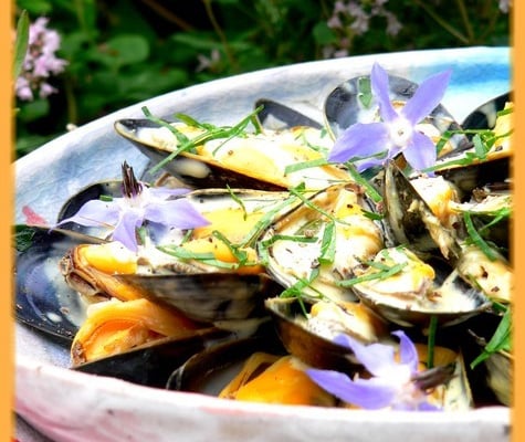 Salade de moules de bouchot, sauce légère au curry