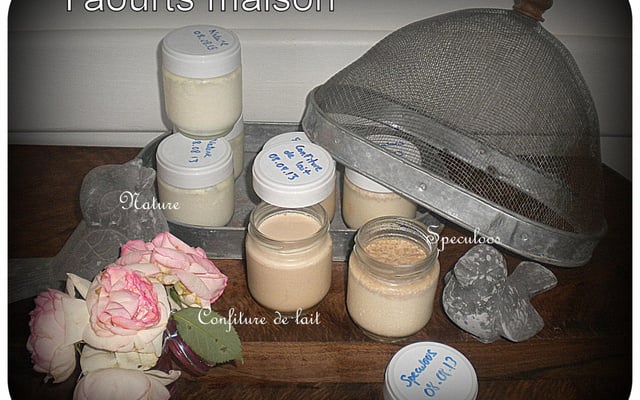 Yaourts "maison" speculoos et confiture de lait