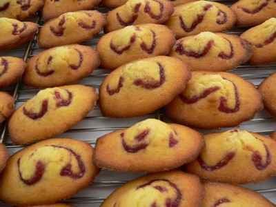 Madeleines du goûter à la Myrtille Bio