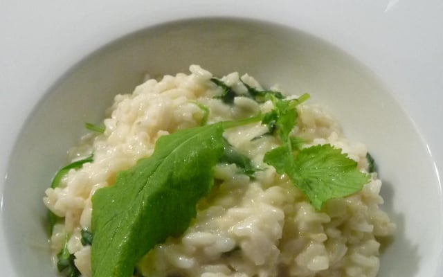 Risotto aux fanes de radis