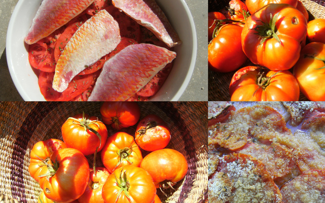 Tian de tomates aux rougets