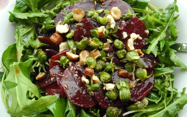 Salade de betteraves et de jeunes feuilles aux boutons de fleurs de pissenlits