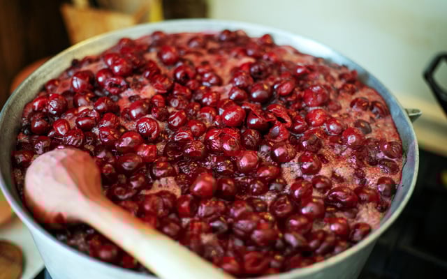 Cerises amarena en 7 jours