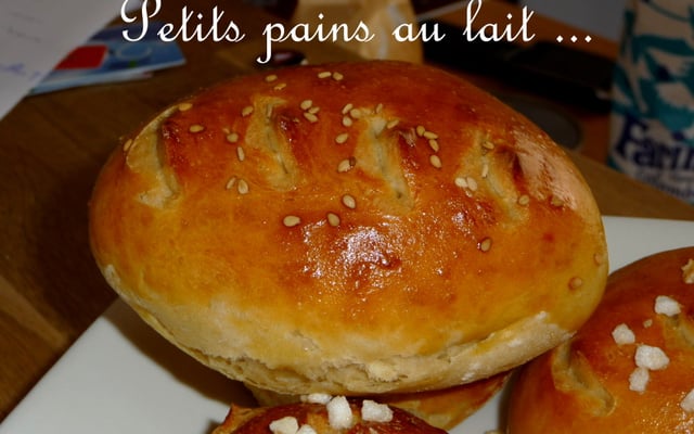Petits pains au lait salés ou sucrés