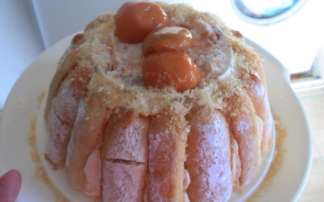 Charlotte à l'abricot