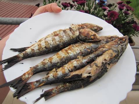 Sardines au barbecue