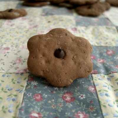 Mes rapid' biscuits de 16 heures