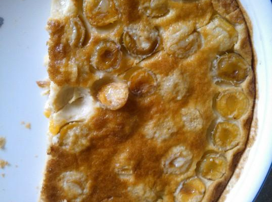 clafoutis moelleux aux abricots