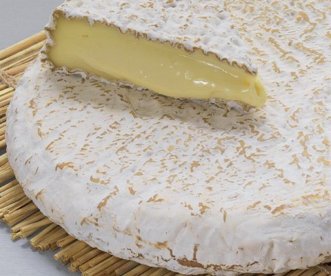 Tête de maquereaux, cape de Brie