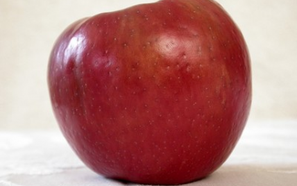 Salade de pommes facile