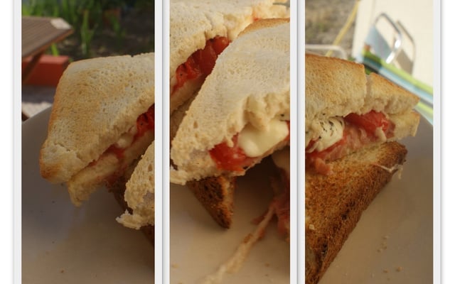 Croque Monsieur tomates / mozza