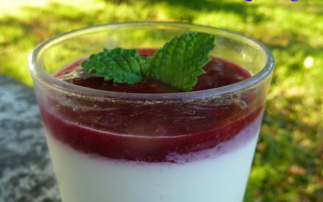 Panna Cotta aux Prunes Rouges
