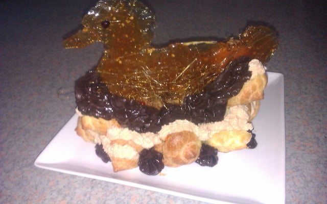 Nid et délice de canard