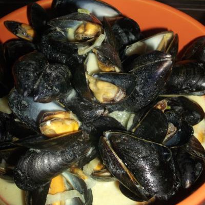 Moules à la crème et curry