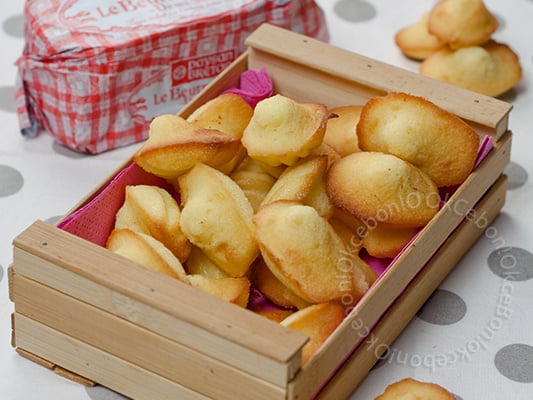 Madeleines aux zestes de citron