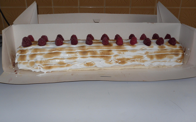 Ma bûche hérisson choco et cœur de meringue à la framboise
