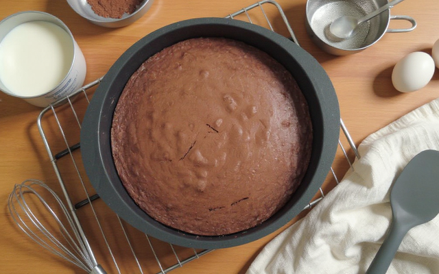 Gâteau au yaourt et au cacao en poudre