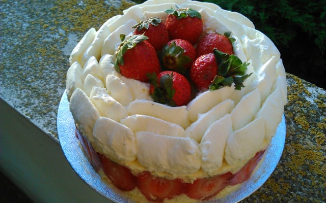 Fraisier frais et fruité