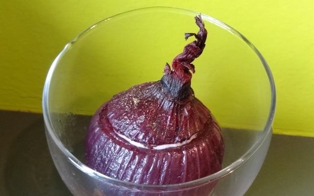 Oignon farci au fromage blanc et jambon