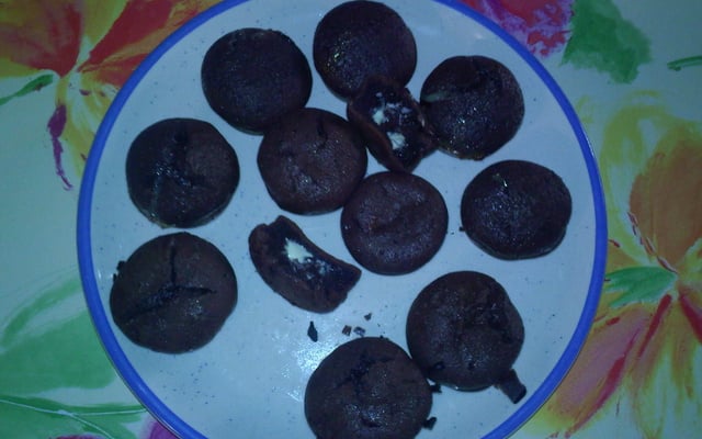 Champignons noir et blanc