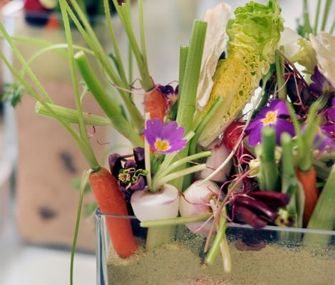 Aquarium de légumes primeur