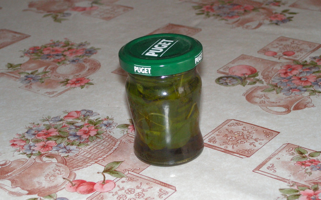 Basilic en petit pot