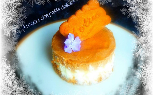 Entremet glacé spéculoos et chocolat blanc