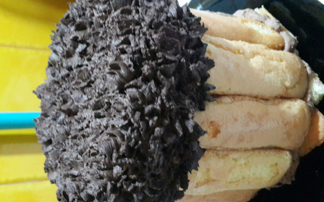 Charlotte panachée chocolat/vanille