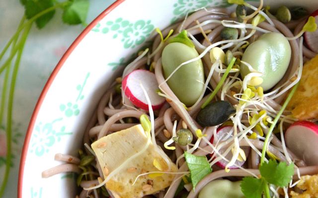 Salade printanière de nouilles soba aux graines germées, fèves et tofu sauté