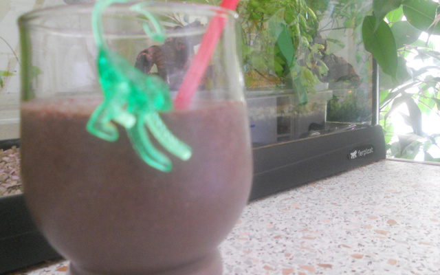 Milk--Shake vanille-Oréo